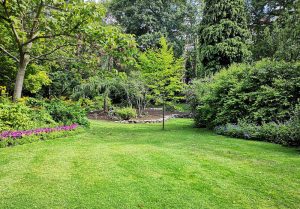 Optimiser l'expérience du jardin à Limont-Fontaine